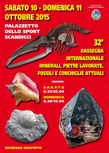 Scandicci ] Minerali e fossili a Scandicci: torna l'appuntamento annuale  per i collezionisti e appassionati, Tempo Libero Toscana