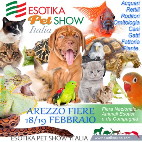 Arezzo Arezzo EsotikaExpo ad Arezzo Fiere e Congressi Tempo