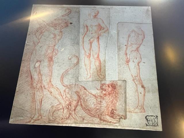 Vinci Il Disegno Anatomico Di Leonardo Al Tempo Del Salvator Mundi